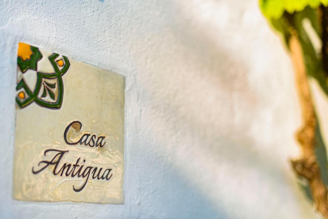 Cortijo Las Cabrerizas فاسيناس المظهر الخارجي الصورة