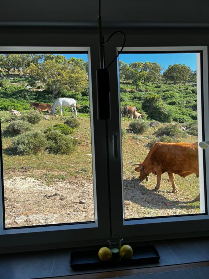 Cortijo Las Cabrerizas فاسيناس المظهر الخارجي الصورة